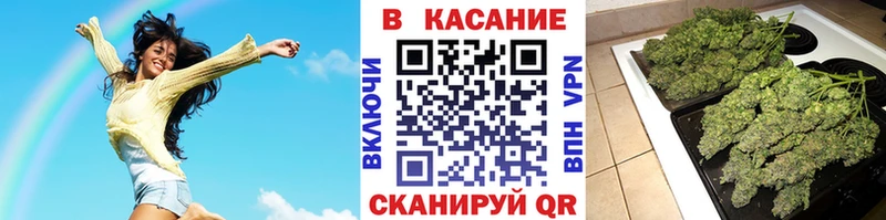 Купить наркотик аптеки Ессентукская Codein мега вход Галлюциногенные грибы ГАШИШ МЕТАМФЕТАМИН Мефедрон A PVP Марихуана