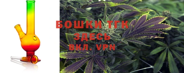mdpv Вяземский