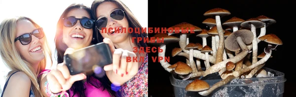 соль курить ск Вязьма