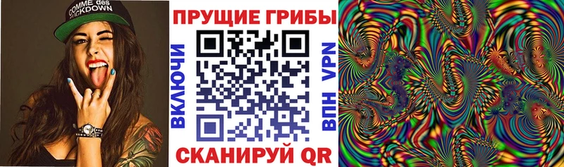 OMG ССЫЛКА  Ессентукская  Галлюциногенные грибы Magic Shrooms 