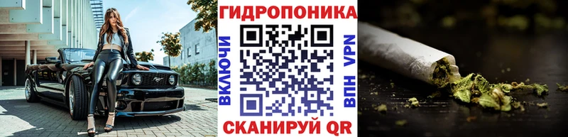 закладки  Ессентукская  Конопля семена 